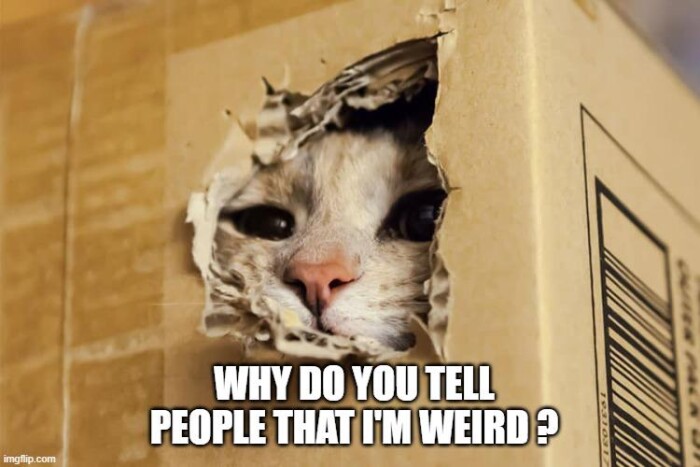 Meme by cheesesausage
