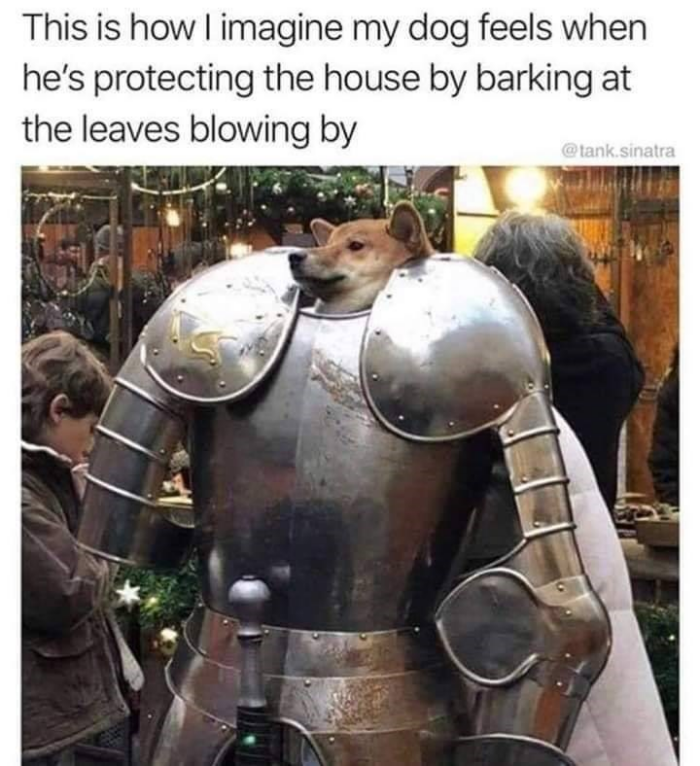Meme by wholesomedoggos