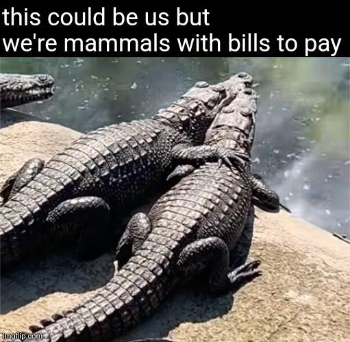 Meme by planted99