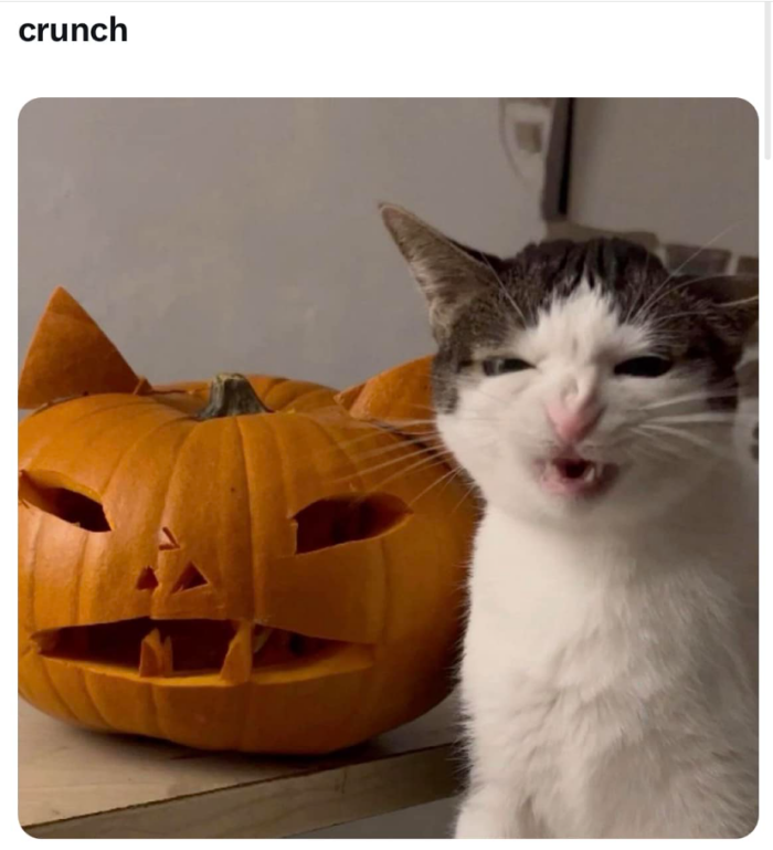 Meme by disneymemes