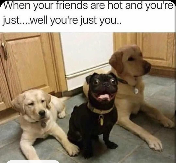 Meme by pupperdoggo