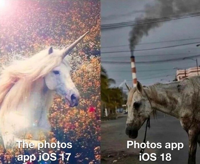 The photos app iOS 17 Photos 18