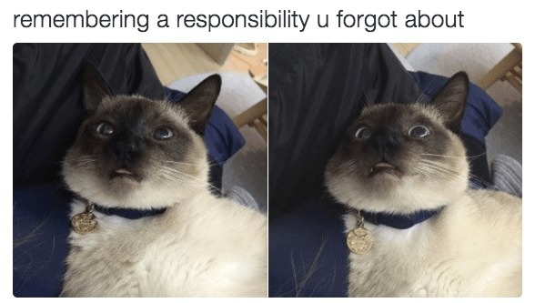 Meme by gargoyle
