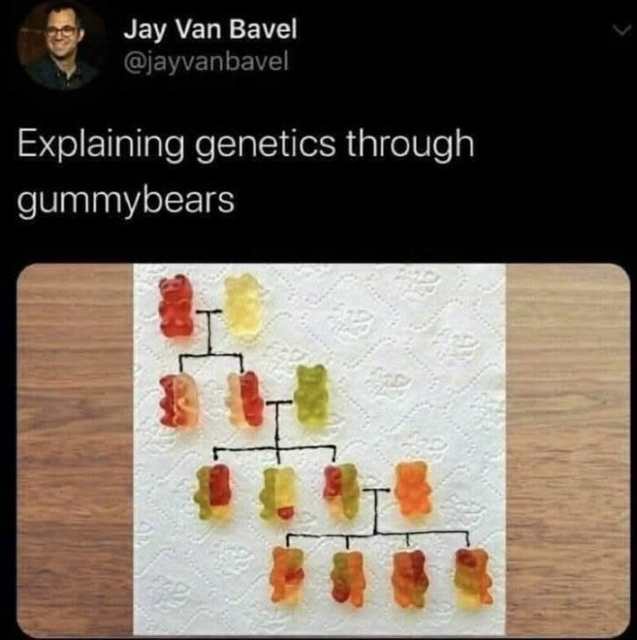 Jay Van Bavel Explaining genetics through gummybears
