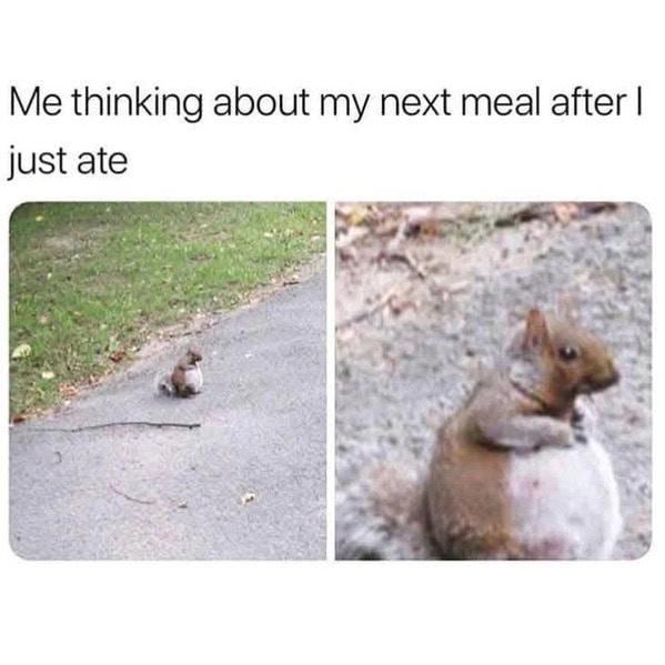 Me thinking about my next meal after I just ate