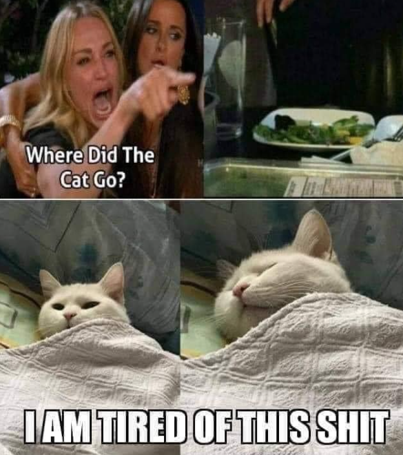 Meme by catsoncatnip