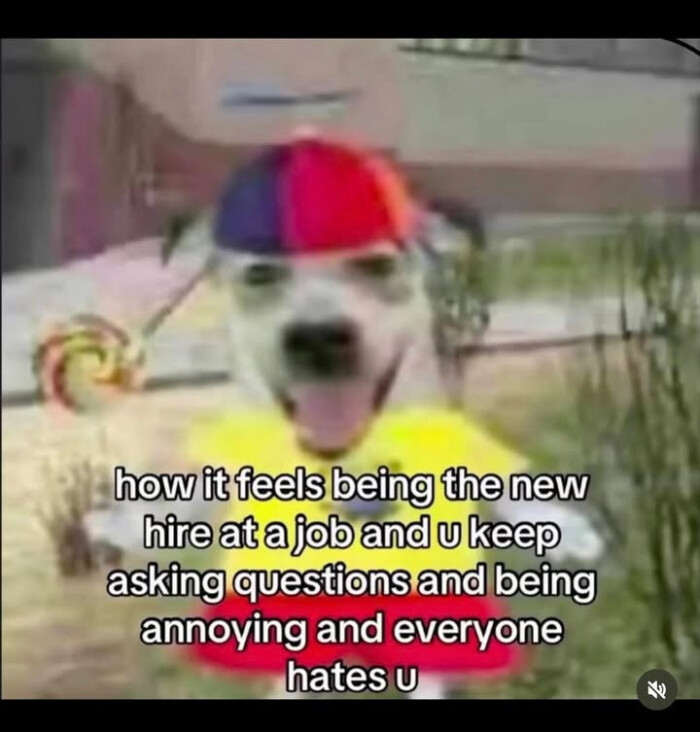 how it feels being the new hire at a job and u keep asking questions annoying everyone