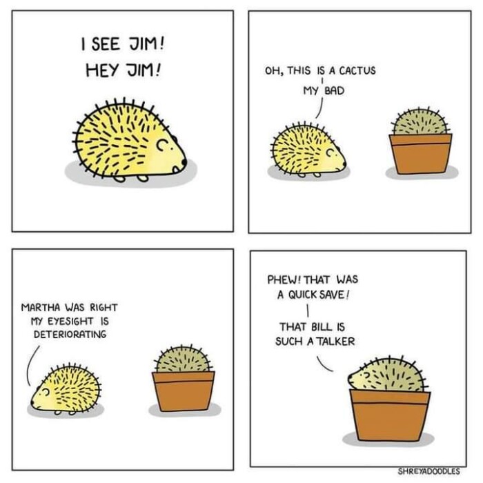 I SEE JIM! HEY MARTHA WAS RIGHT MY EYESIGHT IS DETERIORATING OH, THIS A CACTUS BAD PHEW! THAT QUICK SAVE BILL SUCH TALKER