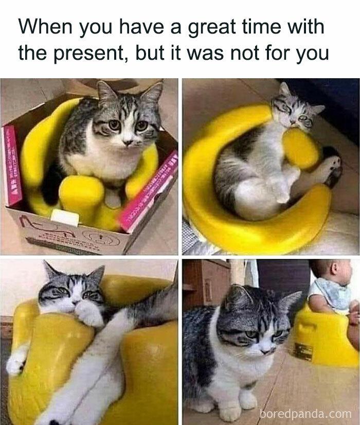 When you have a great time with the present, but it was not for boredpanda.com