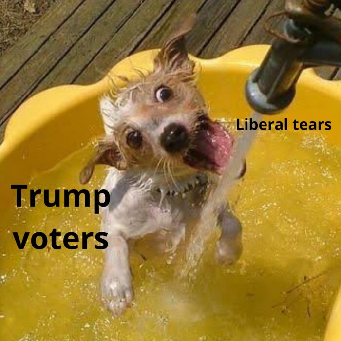 Meme by tiger