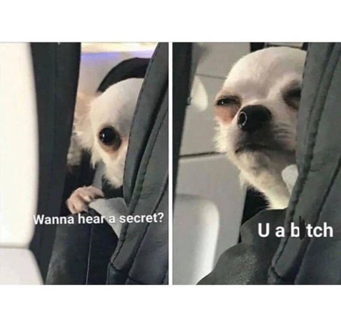 Post a Meme That Describes Your Reaction to Getting Paid