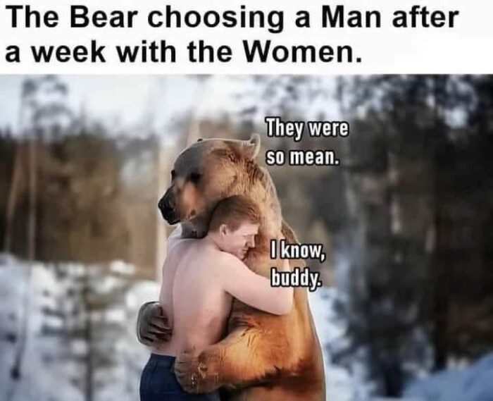 Meme by tiger