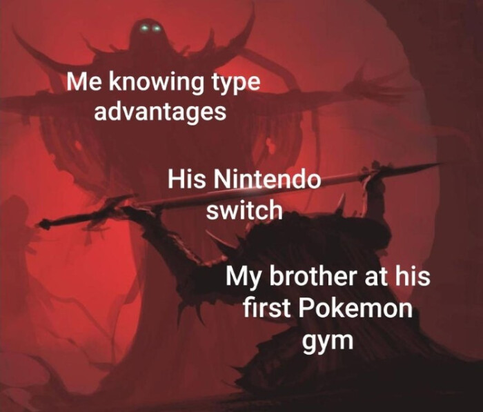 Me knowing type advantages His Nintendo switch My brother at his first Pokemon dut