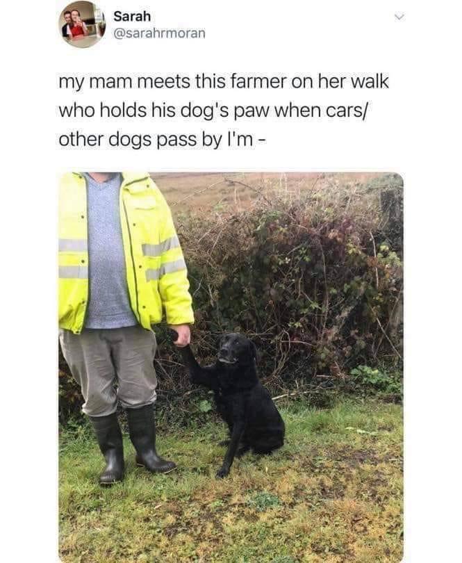 Meme by pupperdoggo