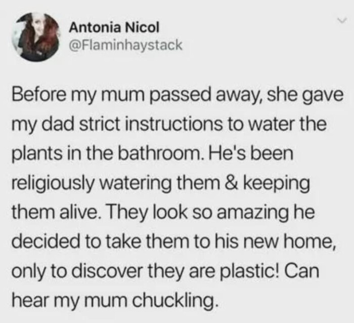 Antonia Nicol Before my mum passed away, she gave dad strict instructions to water the plants in bathroom. He's been religiously watering them