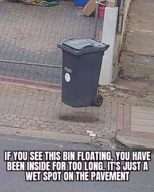 IF YOU SEE THIS BIN FLOATING. HAVE BEEN INSIDE FOR TOO LONG. IT'S JUST A WET SPOT ON THE PAVEMENT