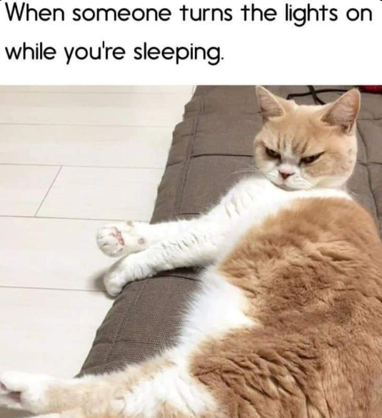 Meme by catsoncatnip