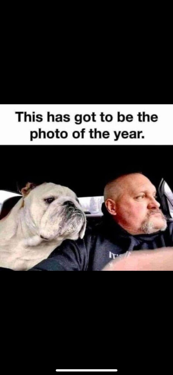Meme by doge