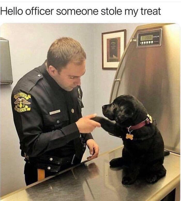 Meme by doge