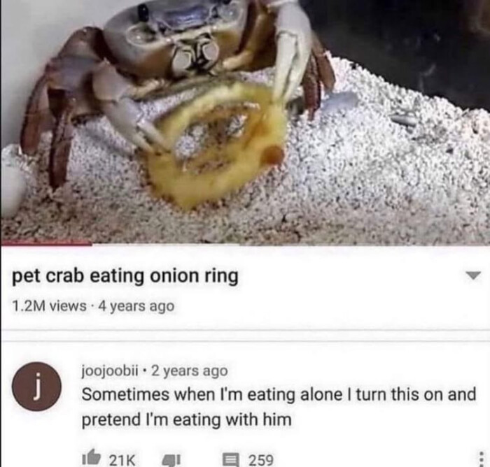 pet crab eating onion ring