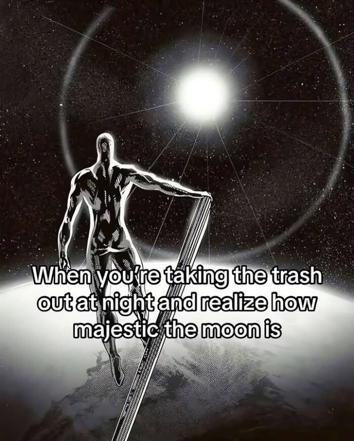 When You re taking the trash out at night and realize how majestic moon is