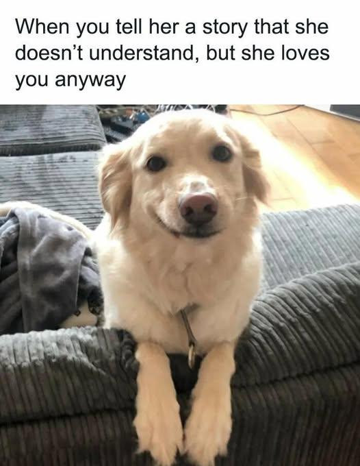 When you tell her a story that she doesn't understand, but loves anyway