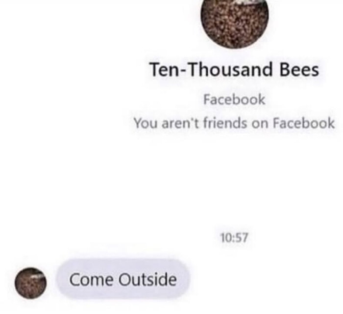 Ten-Thousand Bees Facebook You aren't friends on 10:57 Come Outside