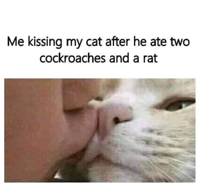 Meme by memelover