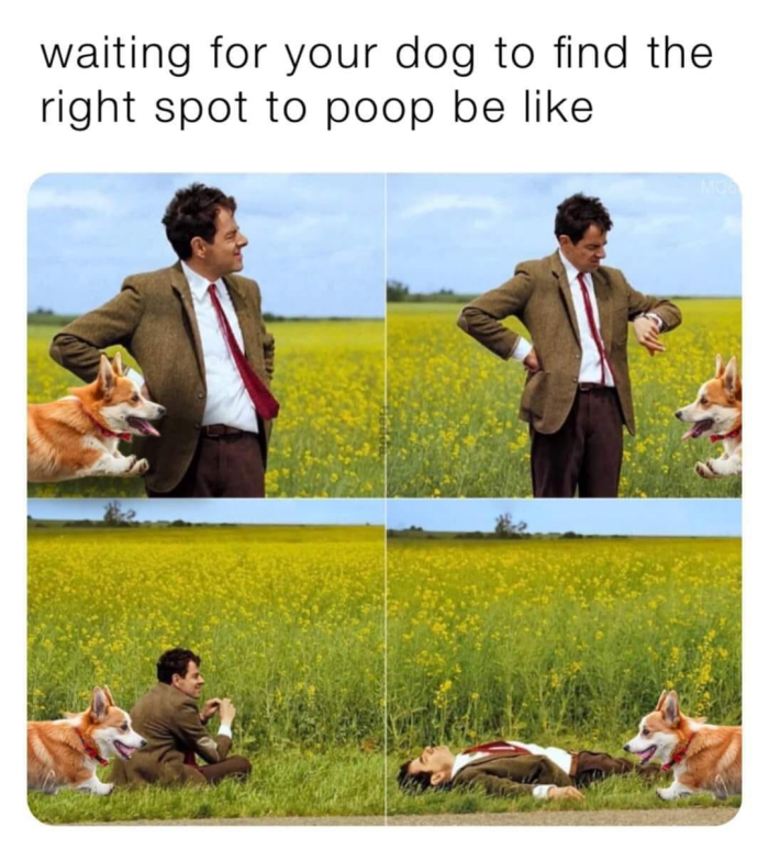 Meme by pupperdoggo