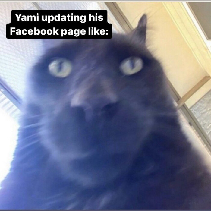 Yami updating his Facebook page like: