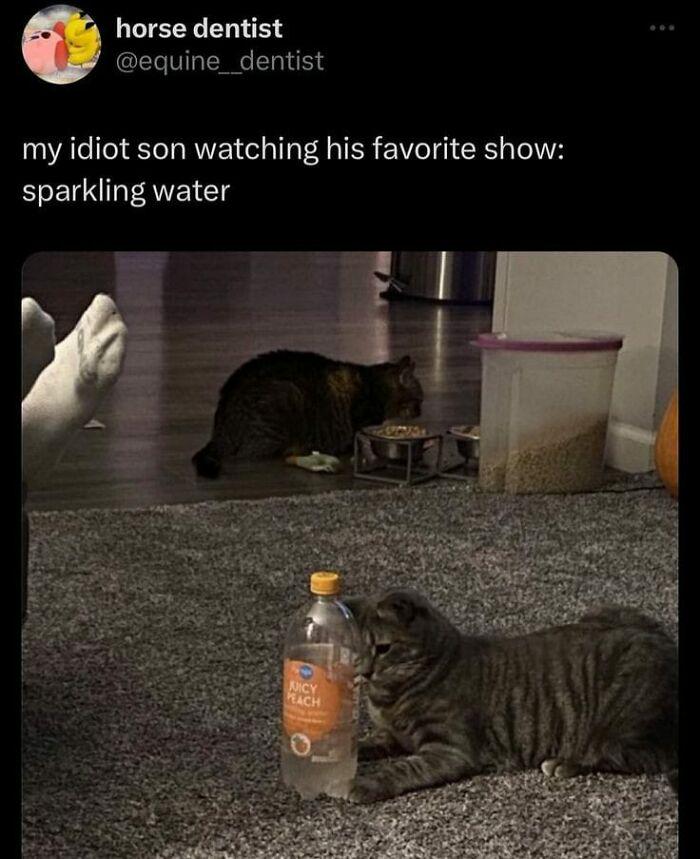 Meme by disneymemes