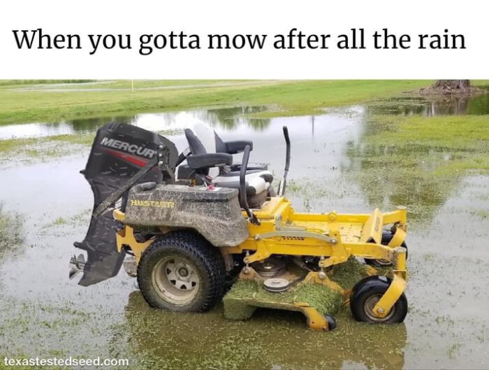 When you gotta mow after all the rain MERCUR