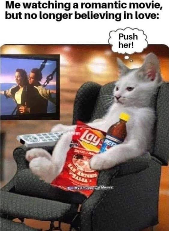 Me watching a romantic movie, but no longer believing in love: Push her! mude