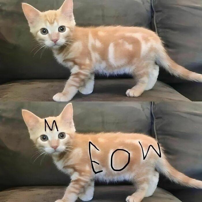Meme by disneymemes