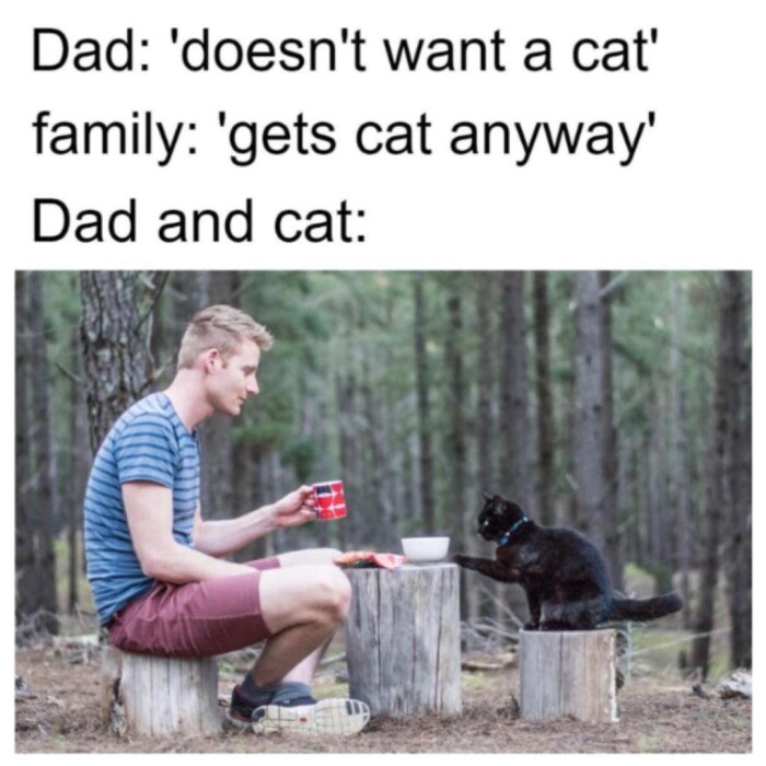 Meme by disneymemes