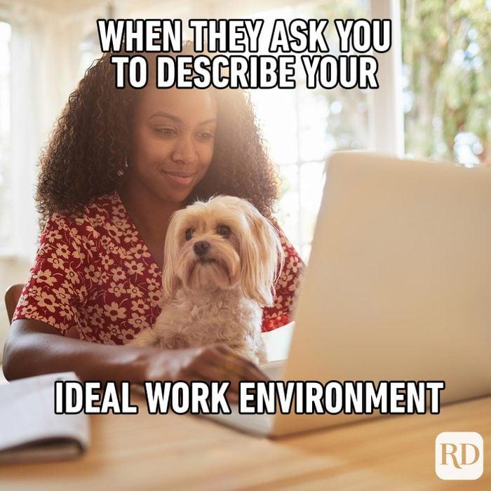 Meme by wholesomedoggos