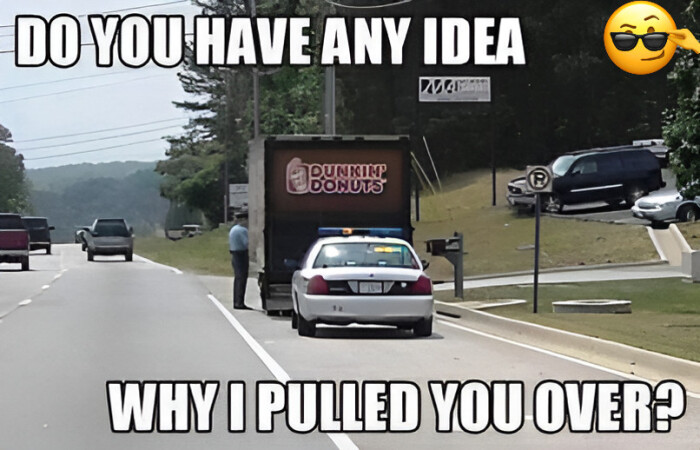 DO YOU HAVE ANY IDEA a riskit DONUTS WHY I PULLED OVERS