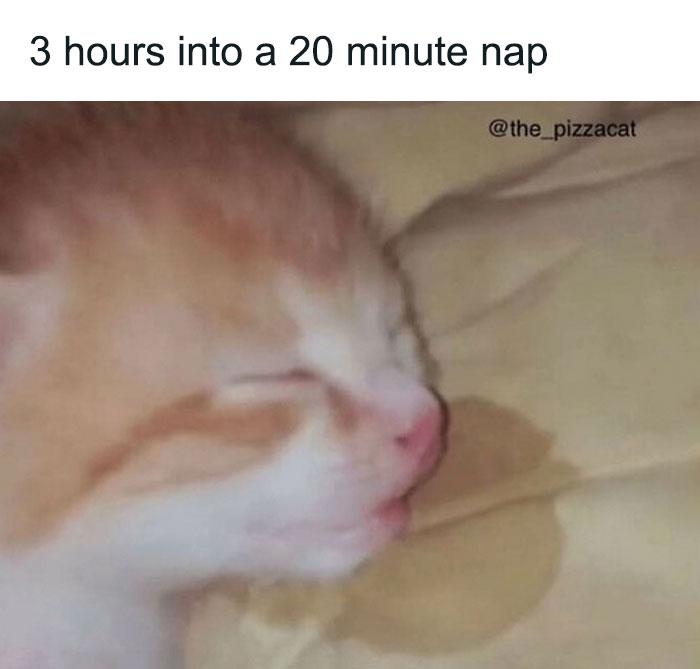 hours into