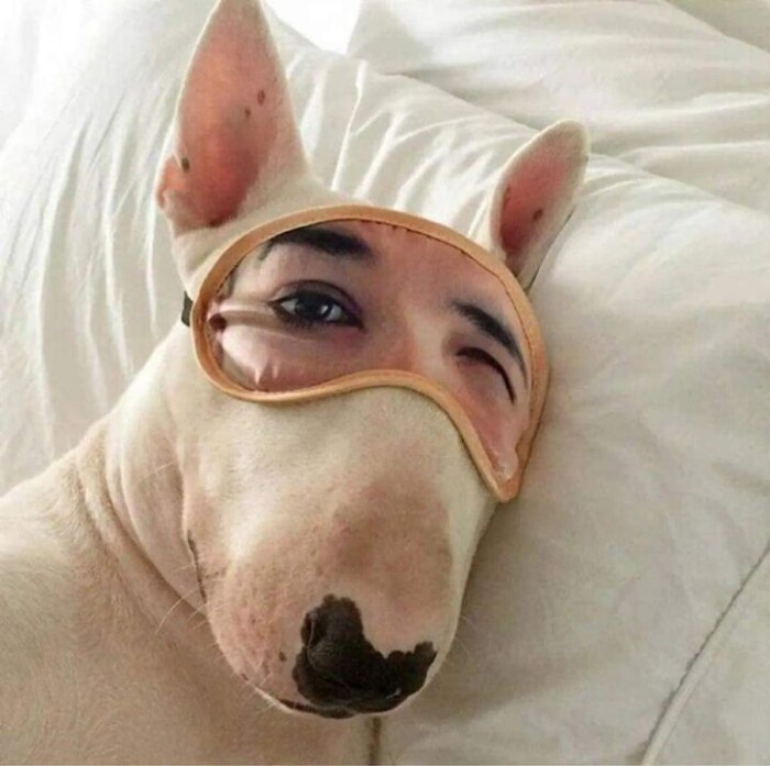 Share a Meme That Describes Your Monday Mornings