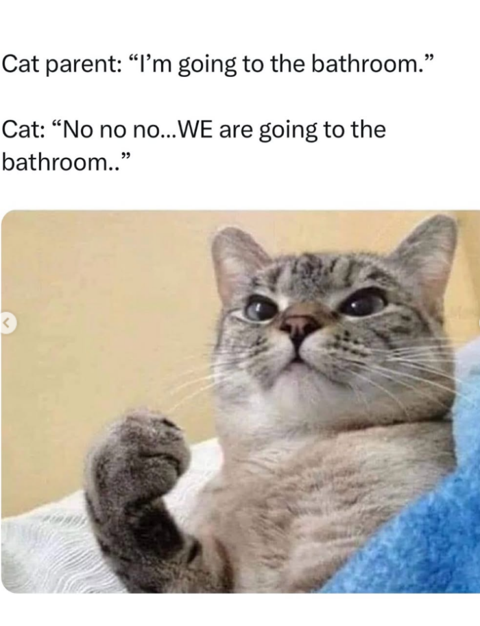 Meme by dailyposts