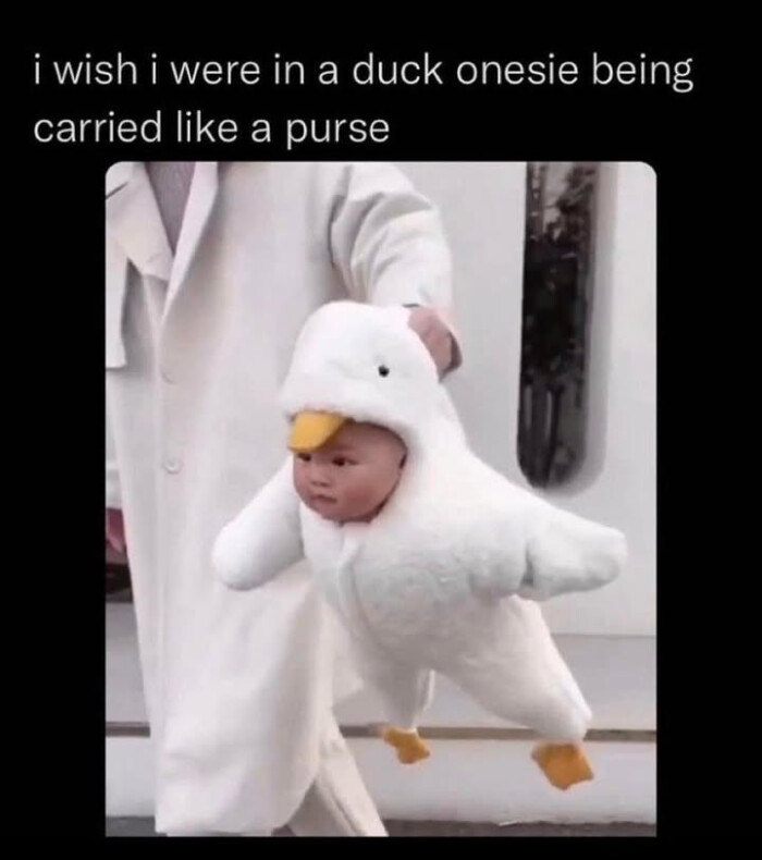 i wish were in a duck onesie being carried like purse