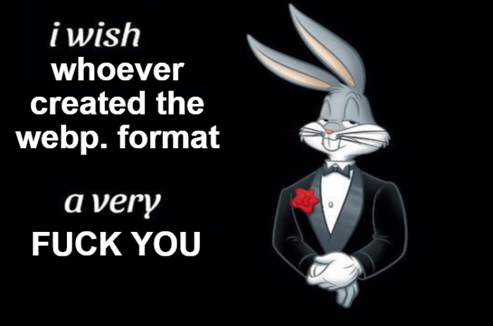 iwish whoever created the webp. format a very YOU