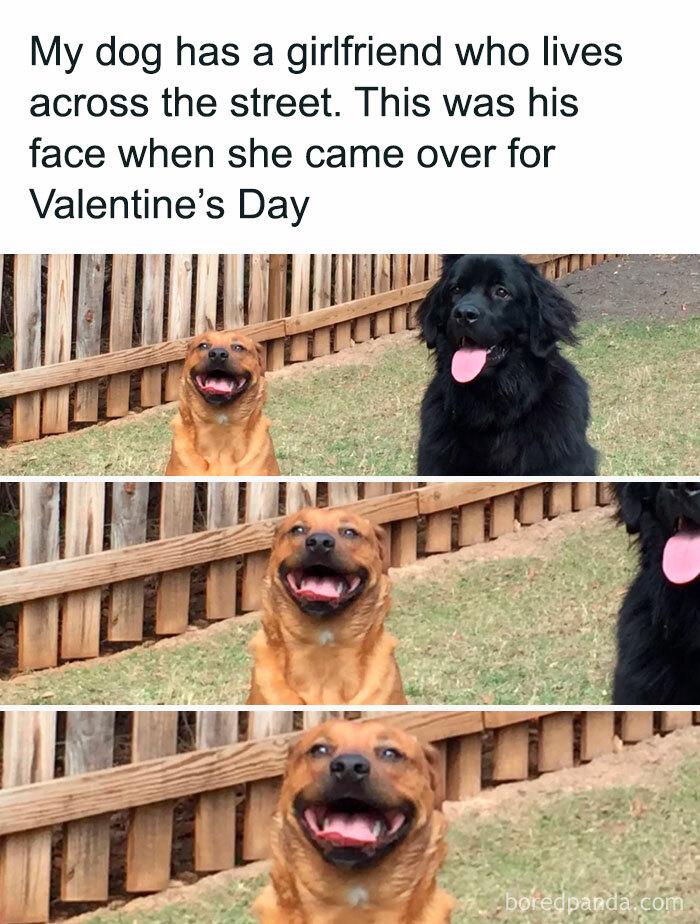Meme by doge