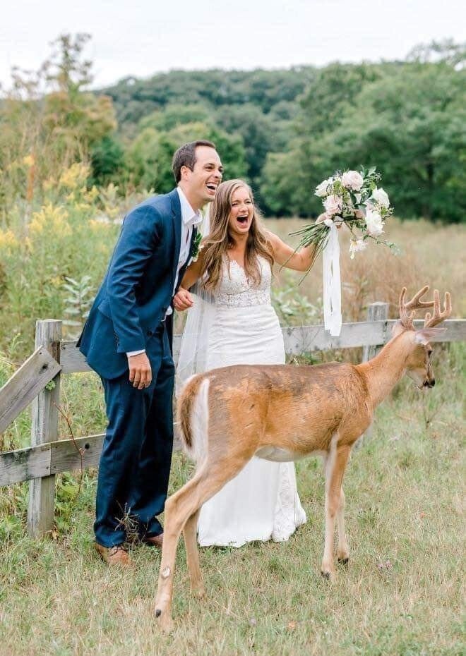 Share the wildest wedding photo you've seen.