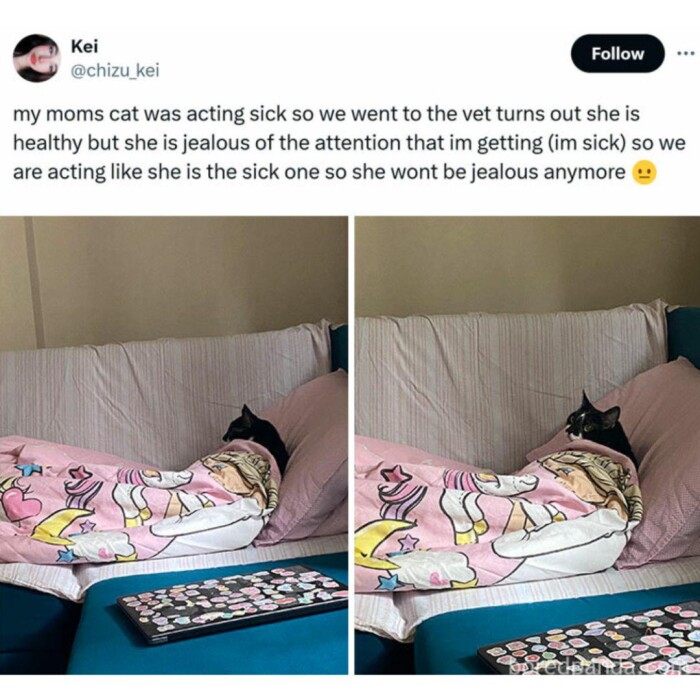 Meme by warningdisneyaddictsonly