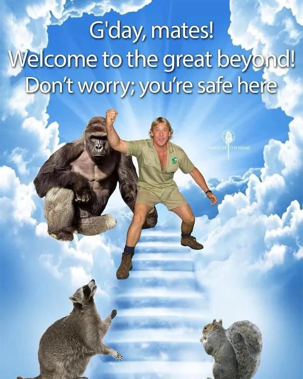 Meme by classic80smusicmemes