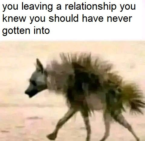 you leaving a relationship knew should have never gotten into
