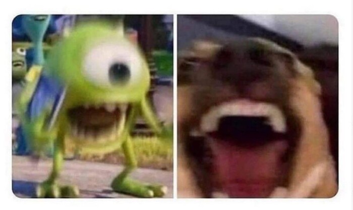 Meme by pupperdoggo