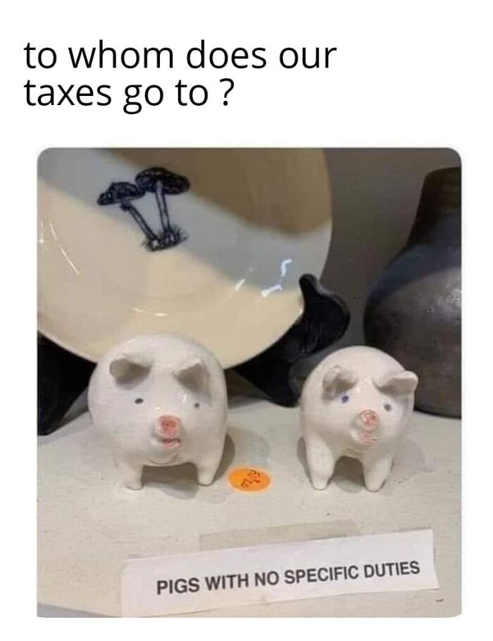 to whom does our taxes go ? PIGS WITH NO SPECIFIC DUTIES