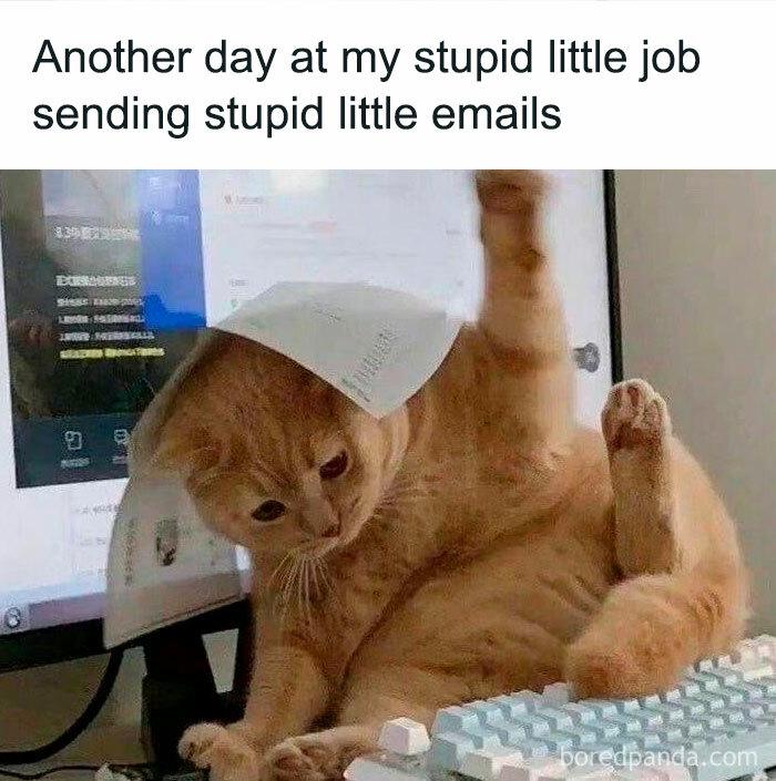 Another day at my stupid little job sending emails